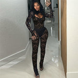 Lace See-through Slim Fit Sexy